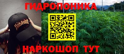 spice Пушкино