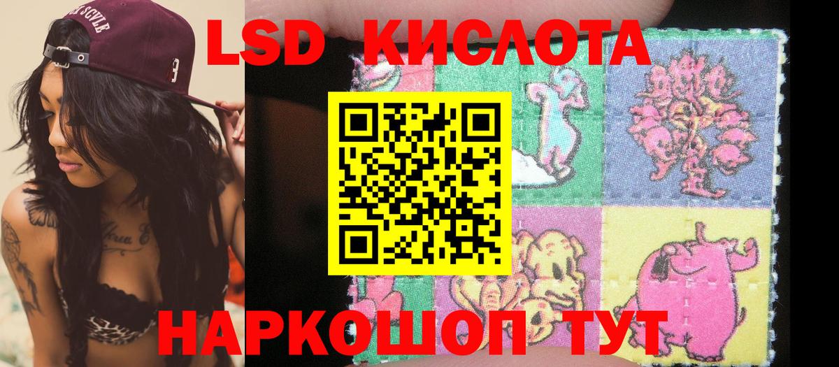 Бошки Шишки Петрозаводск